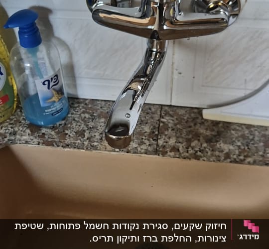 ברז כיור עם חומרי ניקוי לידו